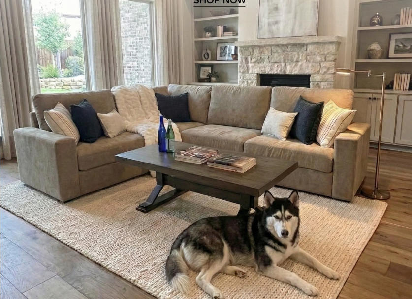 Best Washable Modular Sofa for Families With Kids
