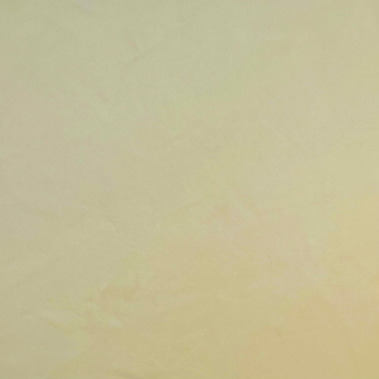 Swatch - Performance Velvet, Beige